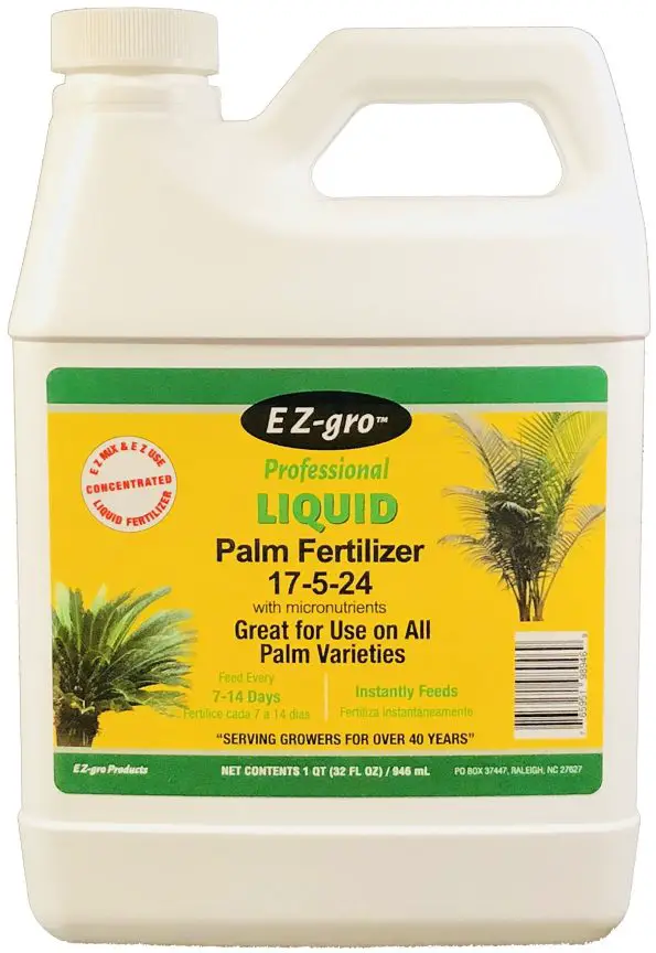 4 Best Fertilizer For Palm Trees - Full Guide & Advice pl