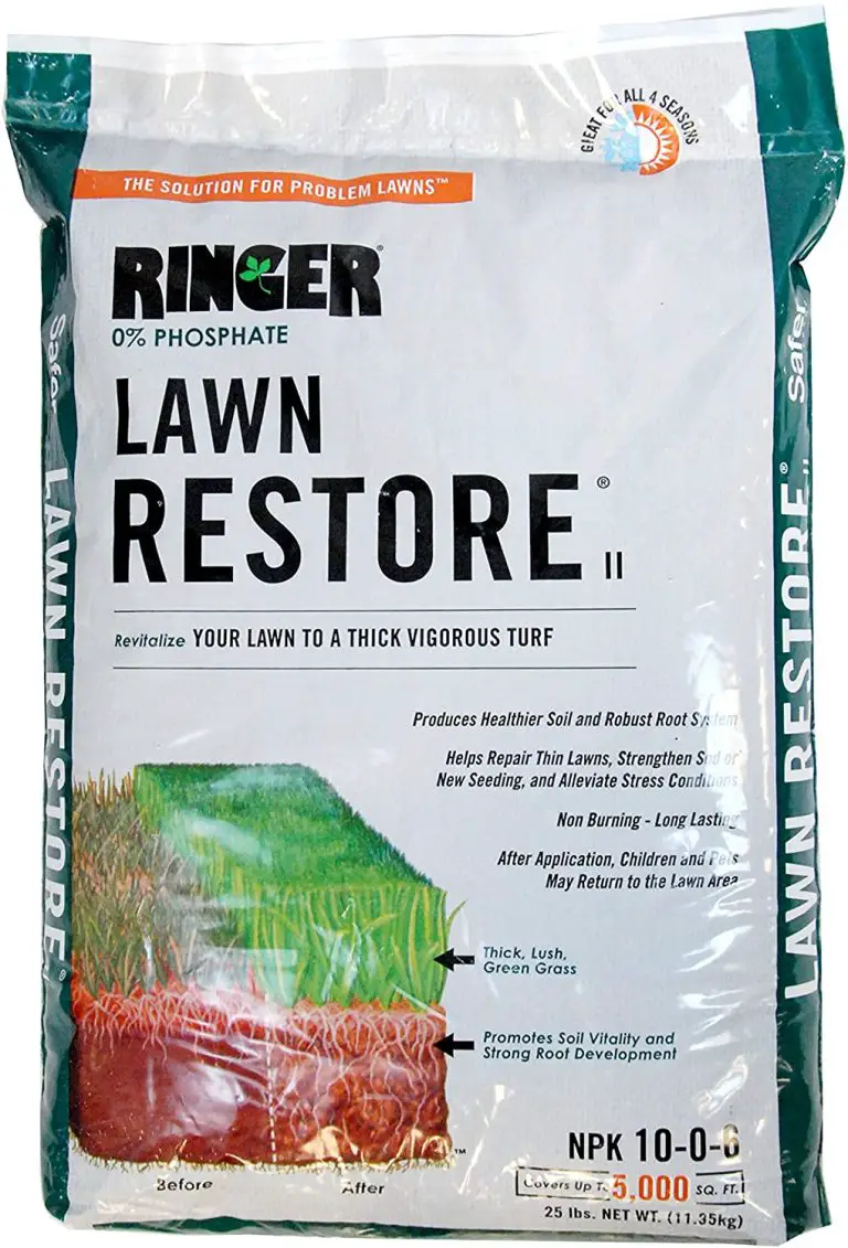 8 Best Lawn Fertilizer Everything You Need To Know 2920